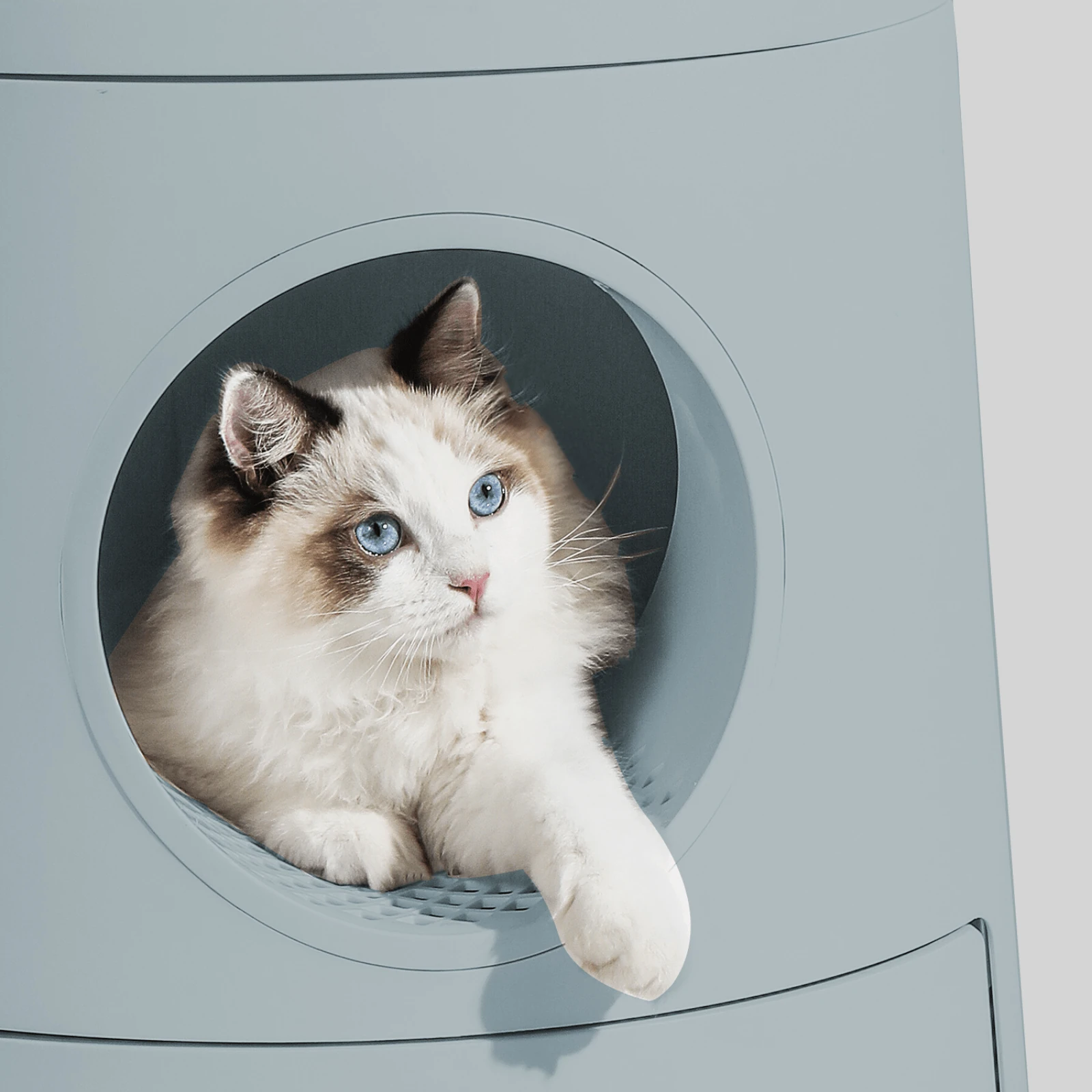 Proper training helps dogs feel comfortable in bags for dogs