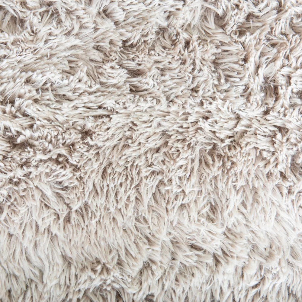 wet food cat feeder improves owner sleep and pet health 2025 survey