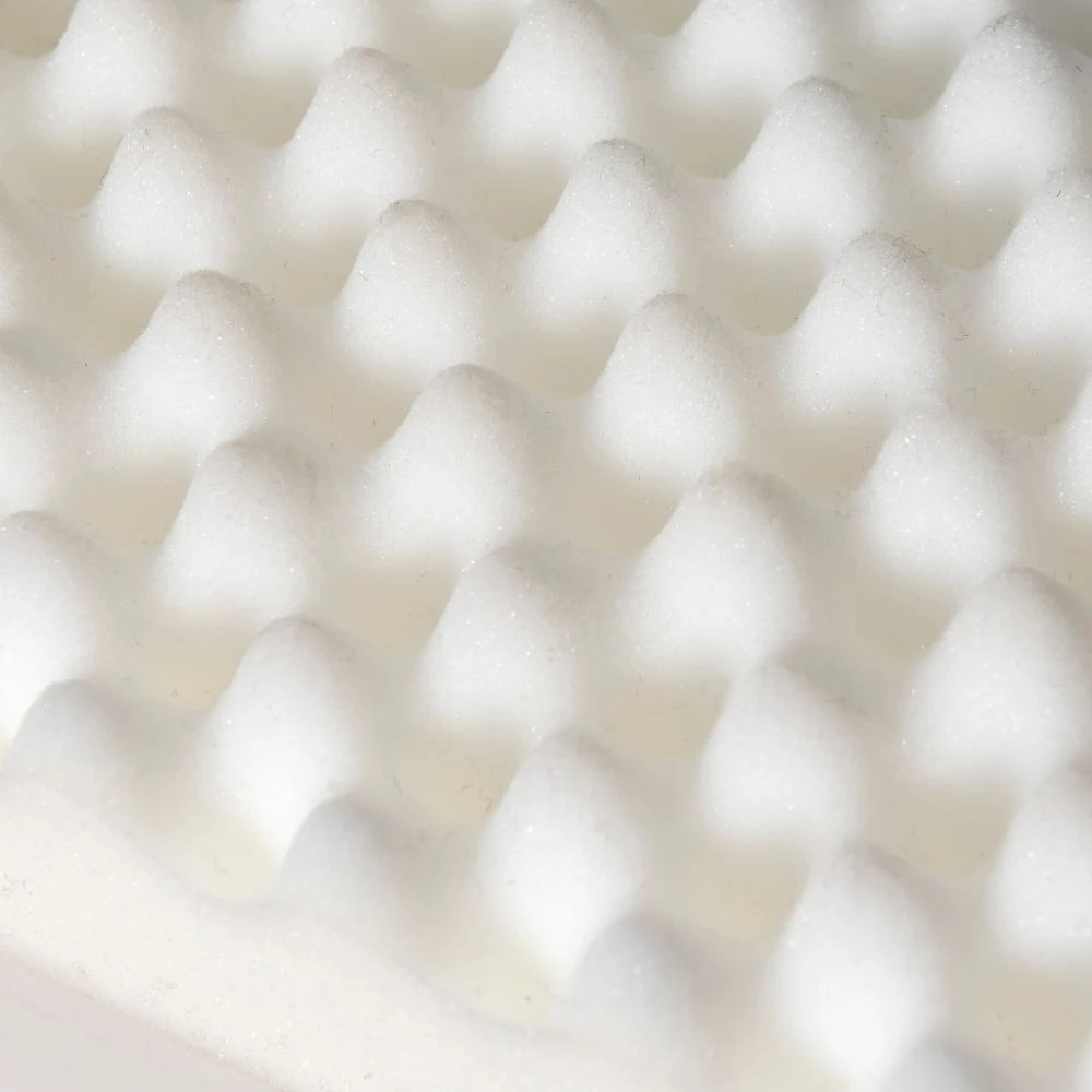 pet carrier bag comparison chart